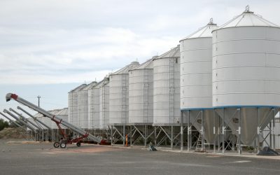 From Silos to Strategy — The Real Reason Sponsorships Fall Flat